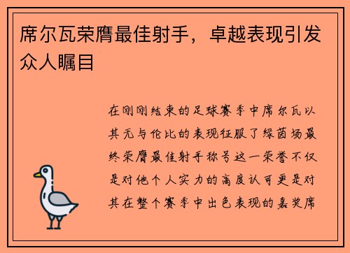 席尔瓦荣膺最佳射手，卓越表现引发众人瞩目
